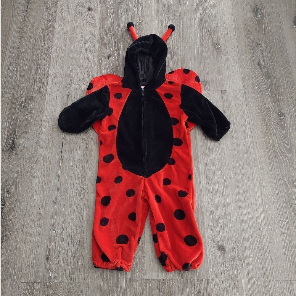 Red and Black Ladybug Costume for Kids